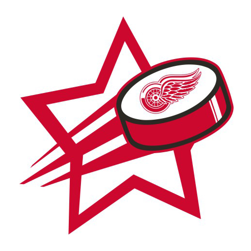 Detroit Red Wings Hockey Goal Star logo iron on paper